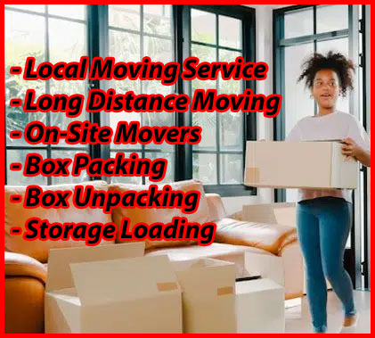 Packers And Movers Noida Sector 64